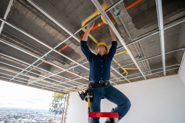 Best Local Plumber Services  in Pardeeville, WI