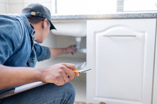 Best Clogged Drain Plumber  in Pardeeville, WI
