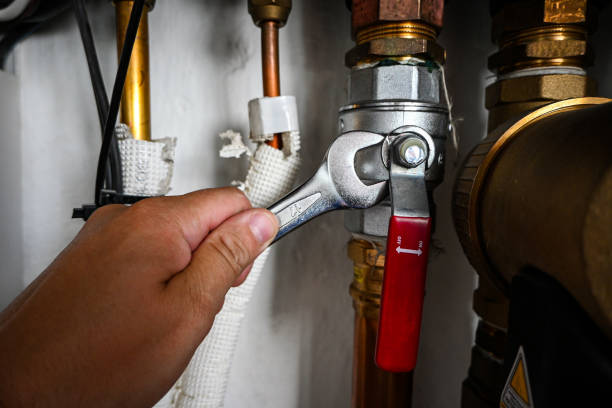 Best Sprinkler Systems  in Pardeeville, WI